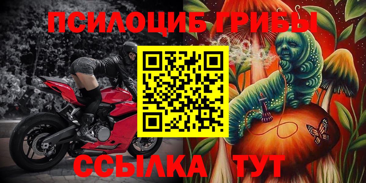 Галлюциногенные грибы Psilocybine cubensis Симферополь